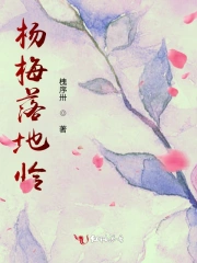 重生之王爷的奋斗