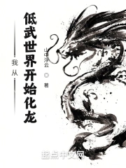 飞燕惊龙正版免费阅读