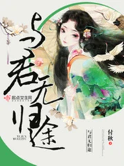 与君无归途