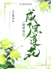 岳婿合体沈绝的小说