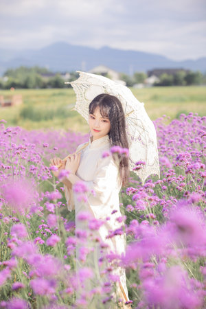 混沌五亿年