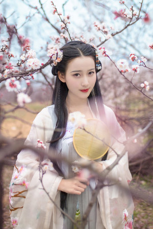 高义白洁小说笔趣阁全文在线阅读
